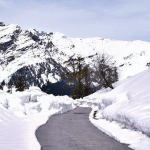 Day 5 – Solang Valley Adventure